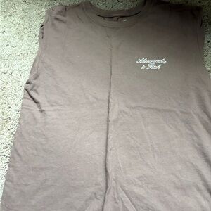 Abercrombie & Fitch Soft Brown Tee